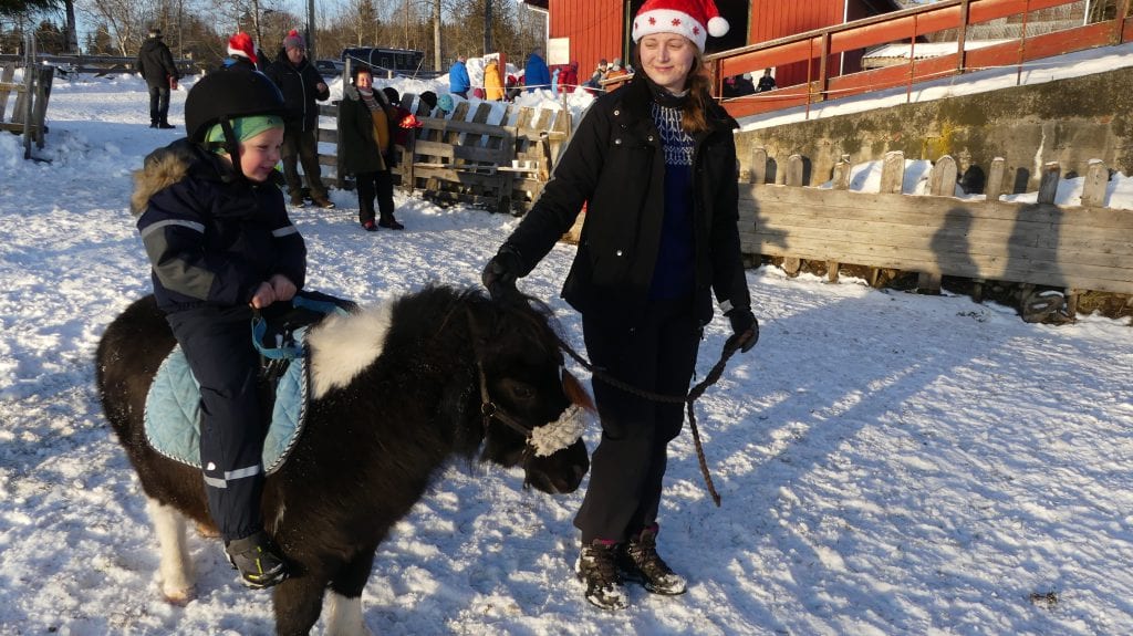 En femåring med drømmen om å bli cowboy når han blir stor – Eirik Blaarud-Olafsen – syntes det var moro å få anledning til å øve seg på å ri. Selv om det denne gangen bare var shetlandsponnien Timon.