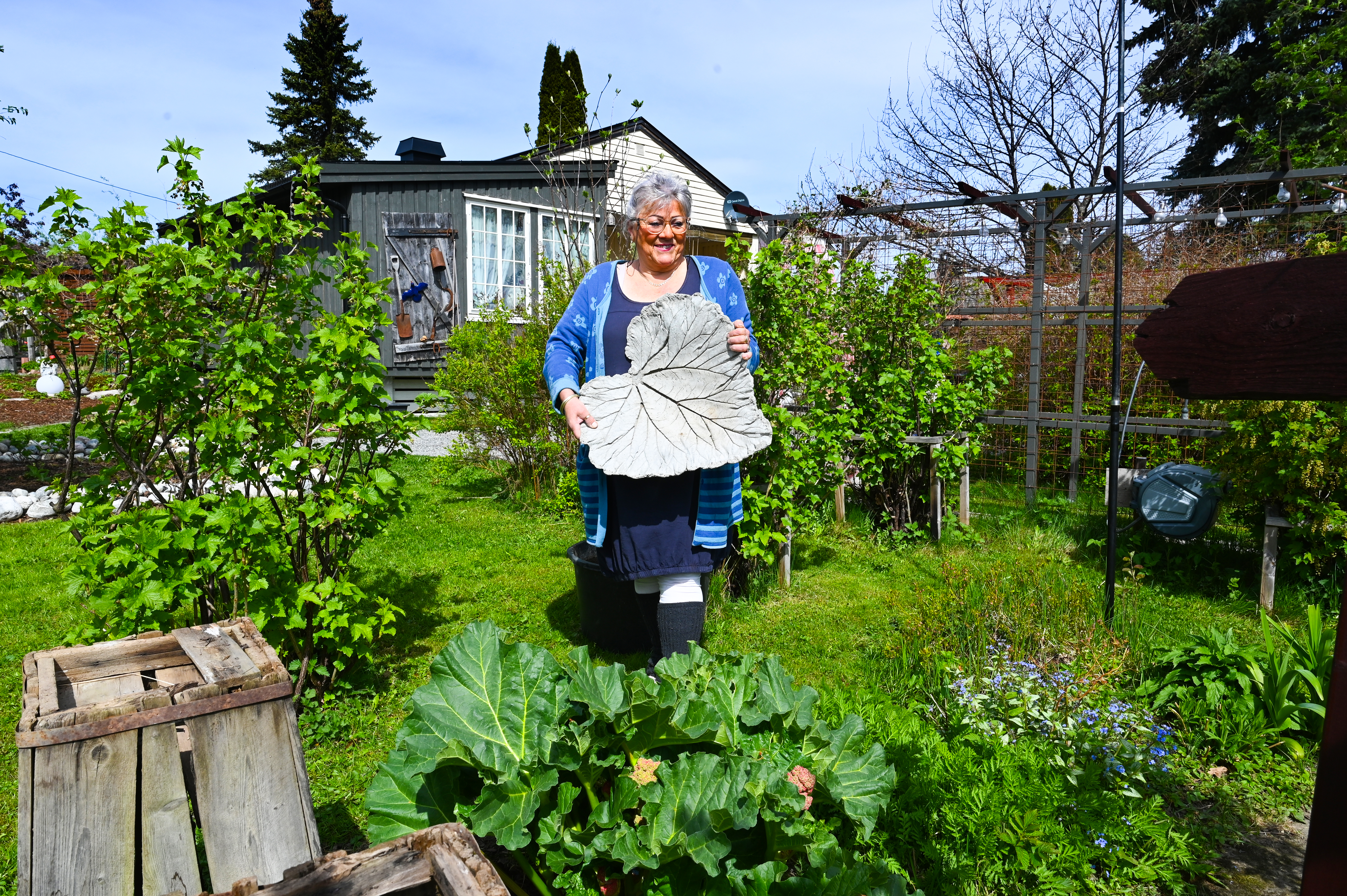 Gerd Eva Trettsveen Lena Hage Rabarbra Borglund
