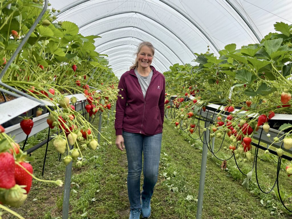 – Vi har rundt 21.000 planter i tunnelene, opplyser Inger Karin Nygaard.