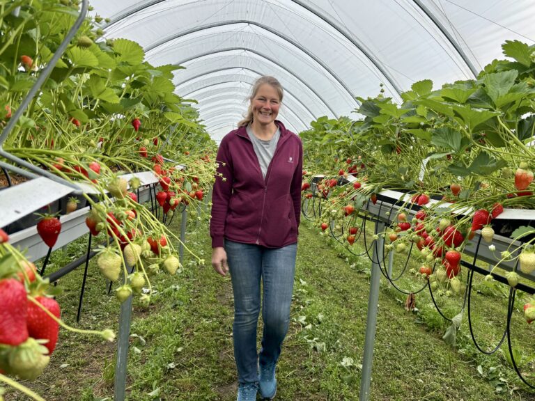 – Vi har rundt 21.000 planter i tunnelene, opplyser Inger Karin Nygaard.